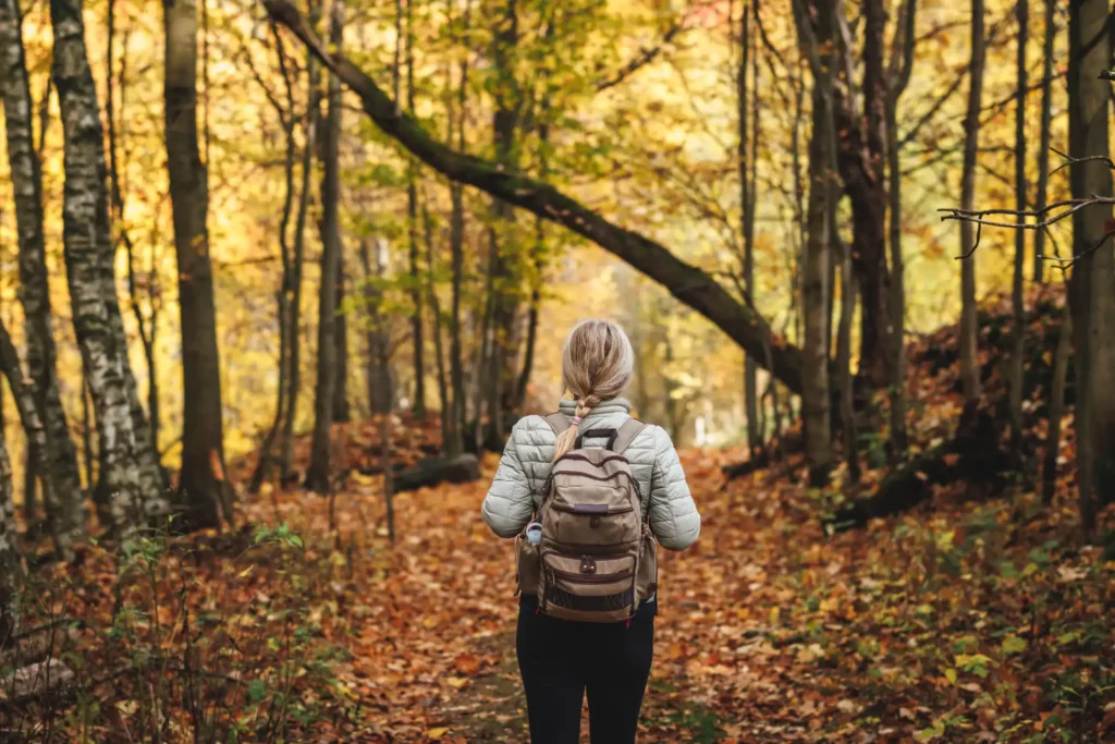 Rückenansicht einer Frau mit Rucksack auf einem Herbstwaldweg, umgeben von goldenen Bäumen und Laub.